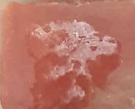 Frozen watermelon puree.jpg